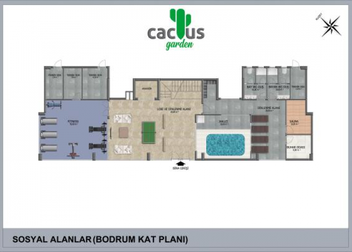 SOSYAL ALANLAR SOSYAL ALANLAR