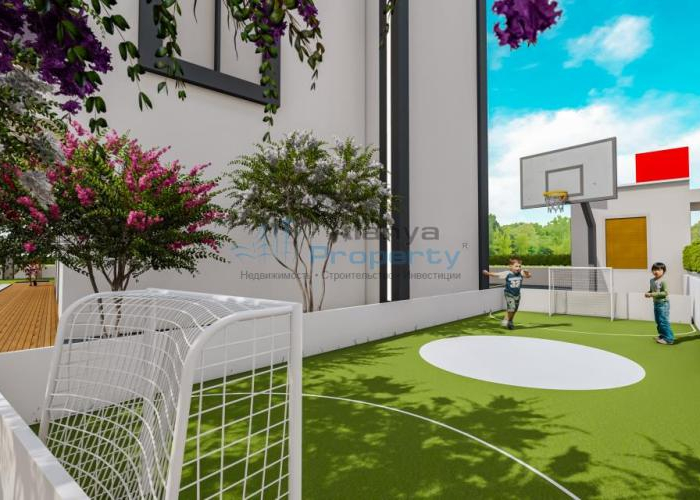 basketball basketball