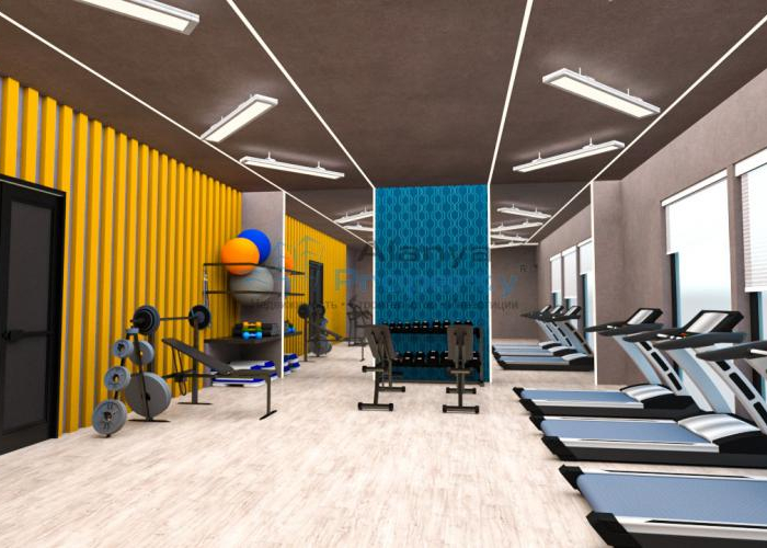 Fitness Fitness