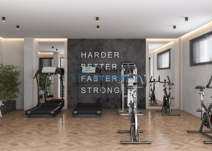 3 FITNESS 3 FITNESS